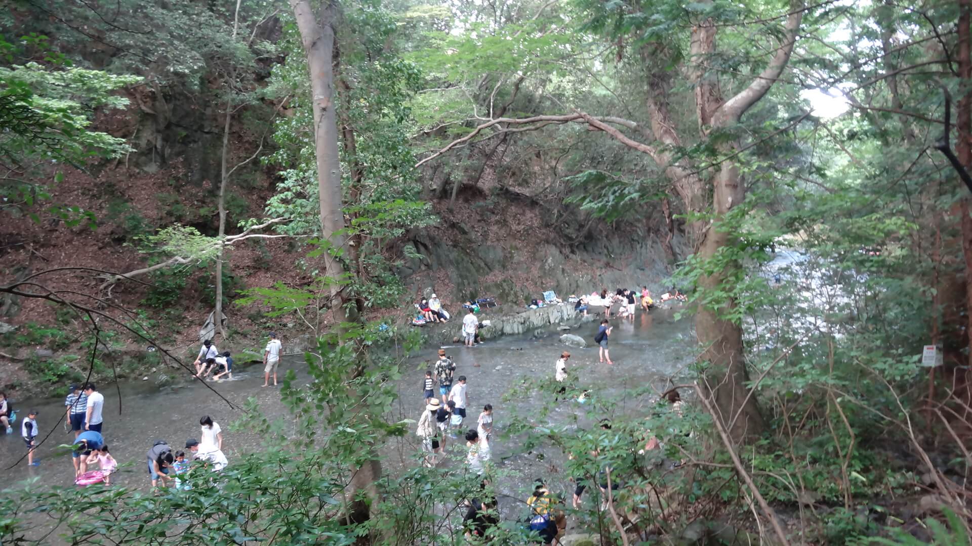 三波渓谷風景綺麗な水で川遊び